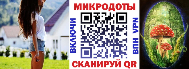 Псилоцибиновые грибы Magic Shrooms  где купить наркоту  Лодейное Поле 